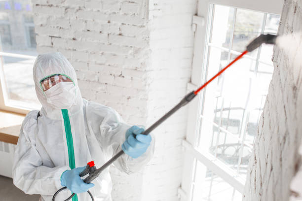 Best Real Estate Mold Inspection  in Northport, NY
