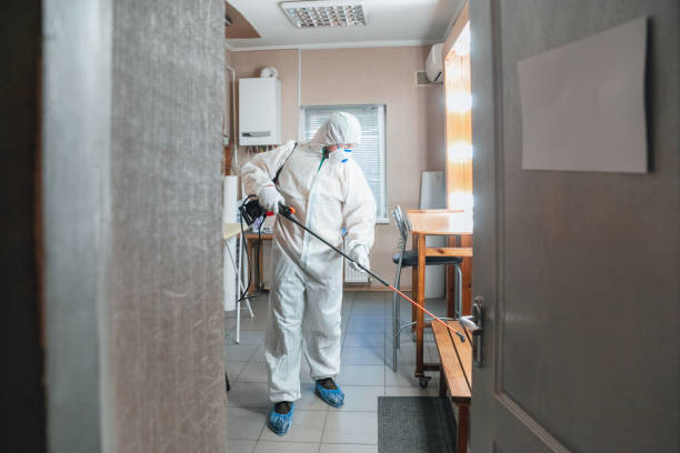 Best Industrial Mold Remediation  in Northport, NY